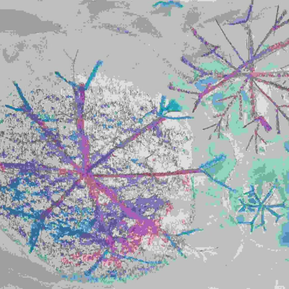 sniegpārslu glezniņu izstādē