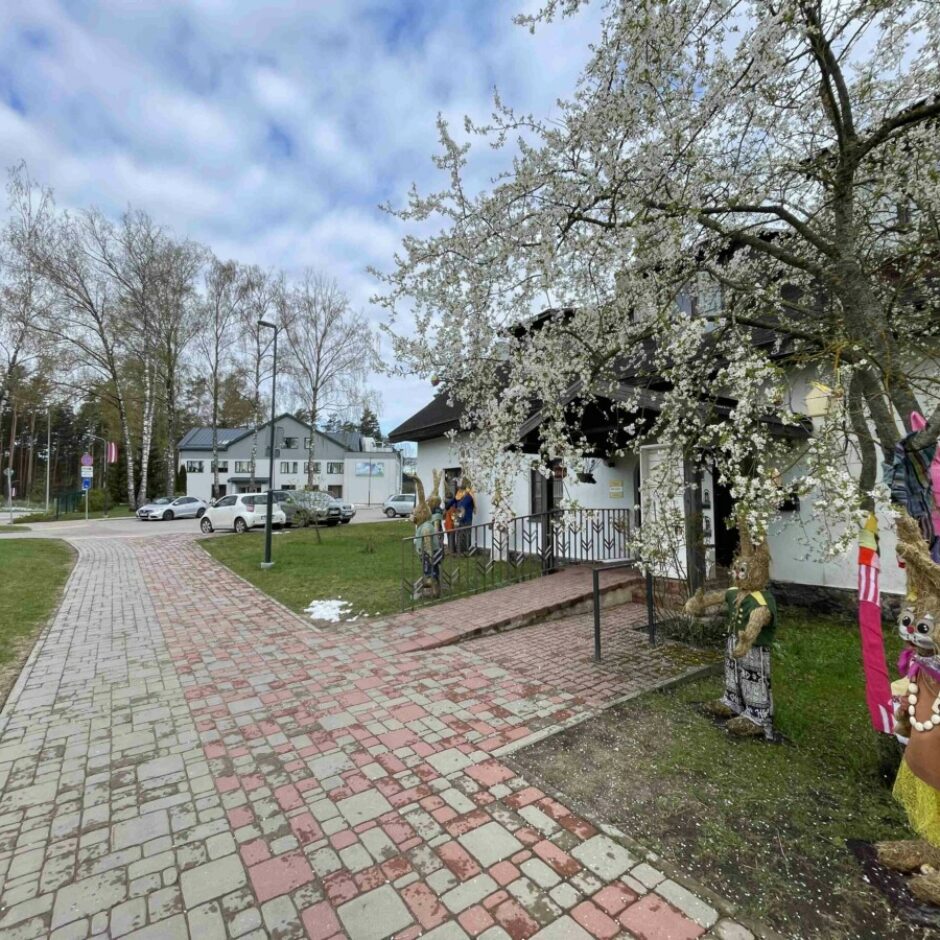 skats uz skolu no ciema bibliotēkas