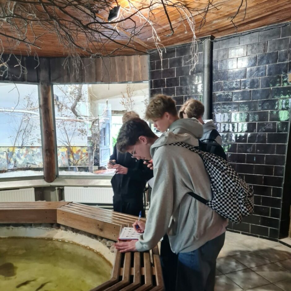 veicot mācību uzdevumus