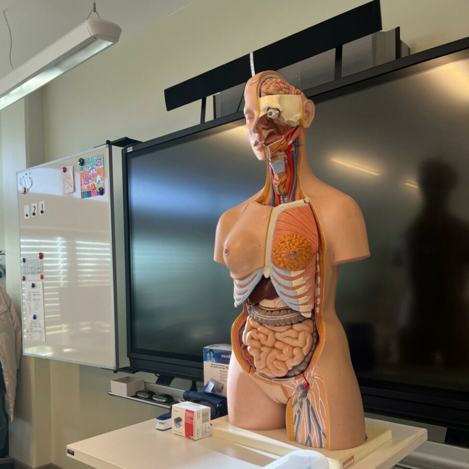 Ārsta palīga viesošanās 1.d