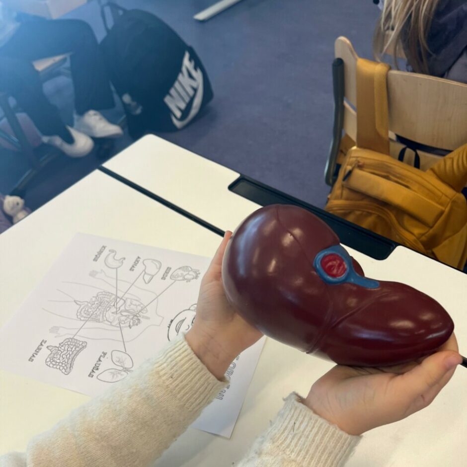 Ārsta palīga viesošanās 1.d