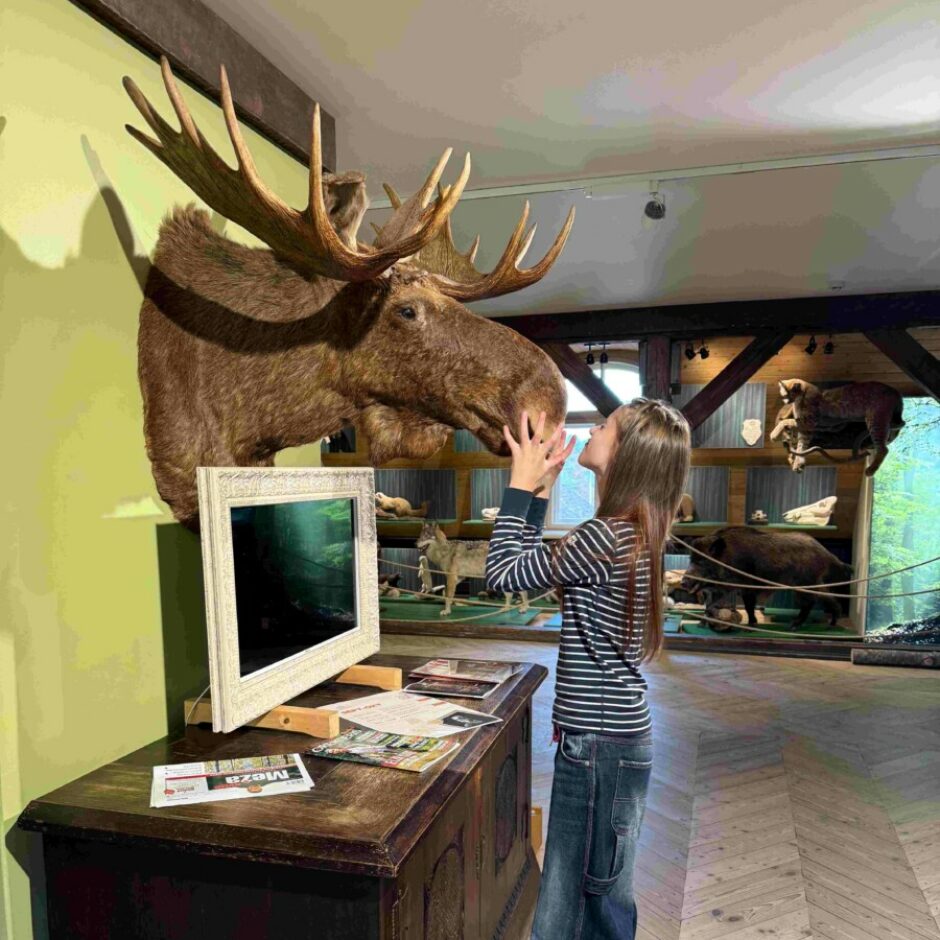 Jaunmoku pils apskate