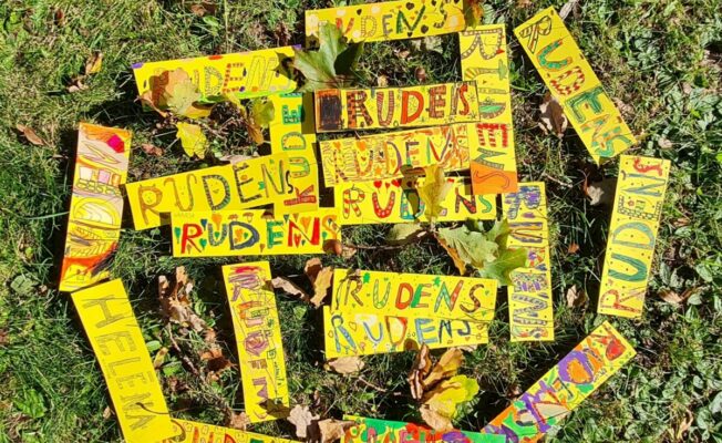 Sagatavošanas grupa