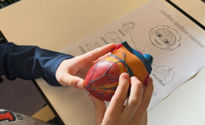 Atskats uz karjeras nedēļu