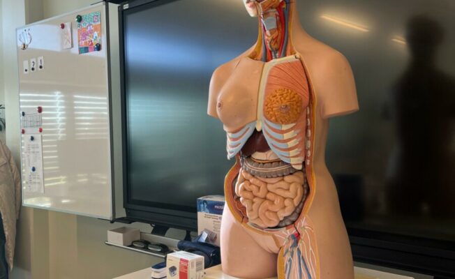 Ārsta palīga viesošanās 1.d