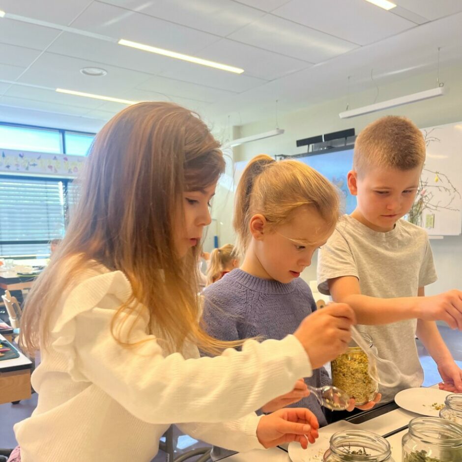 farmaceita profesija - zāļu tējas