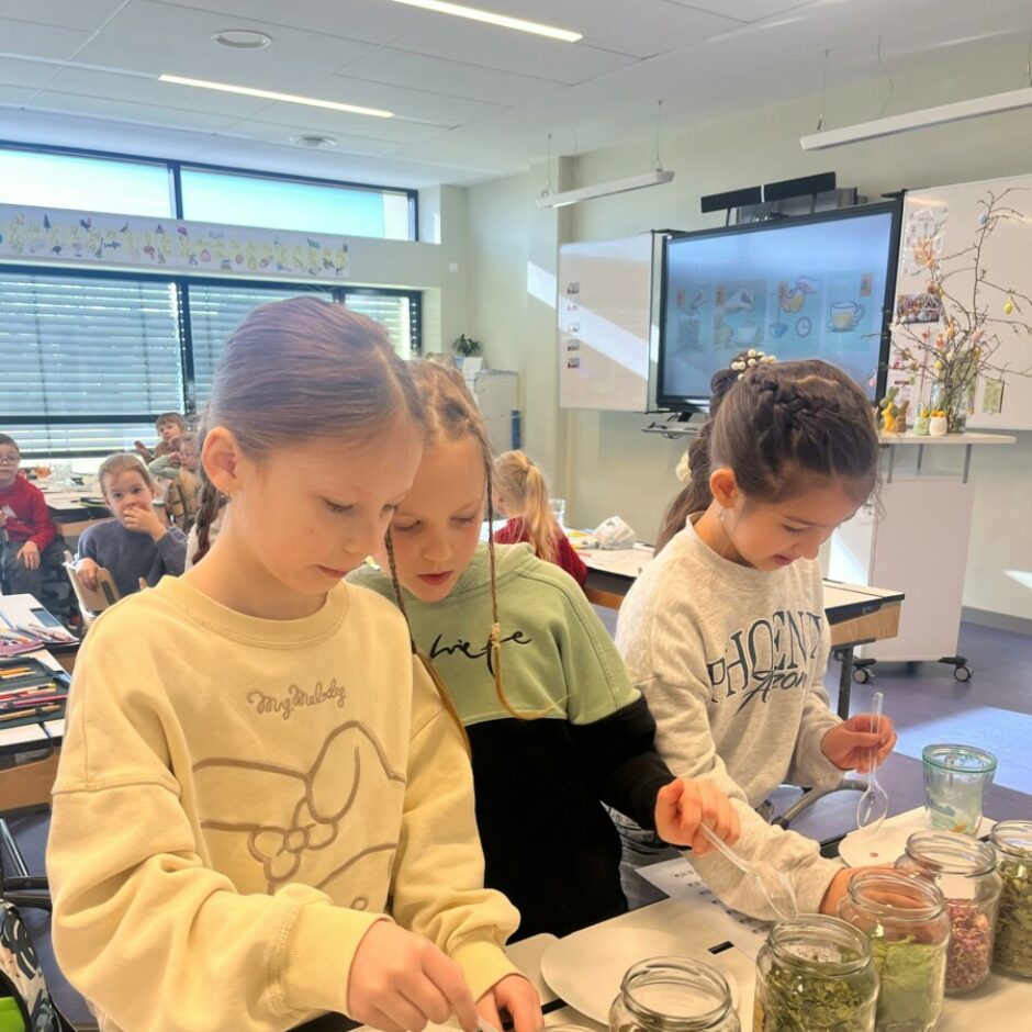 farmaceita profesija - zāļu tējas