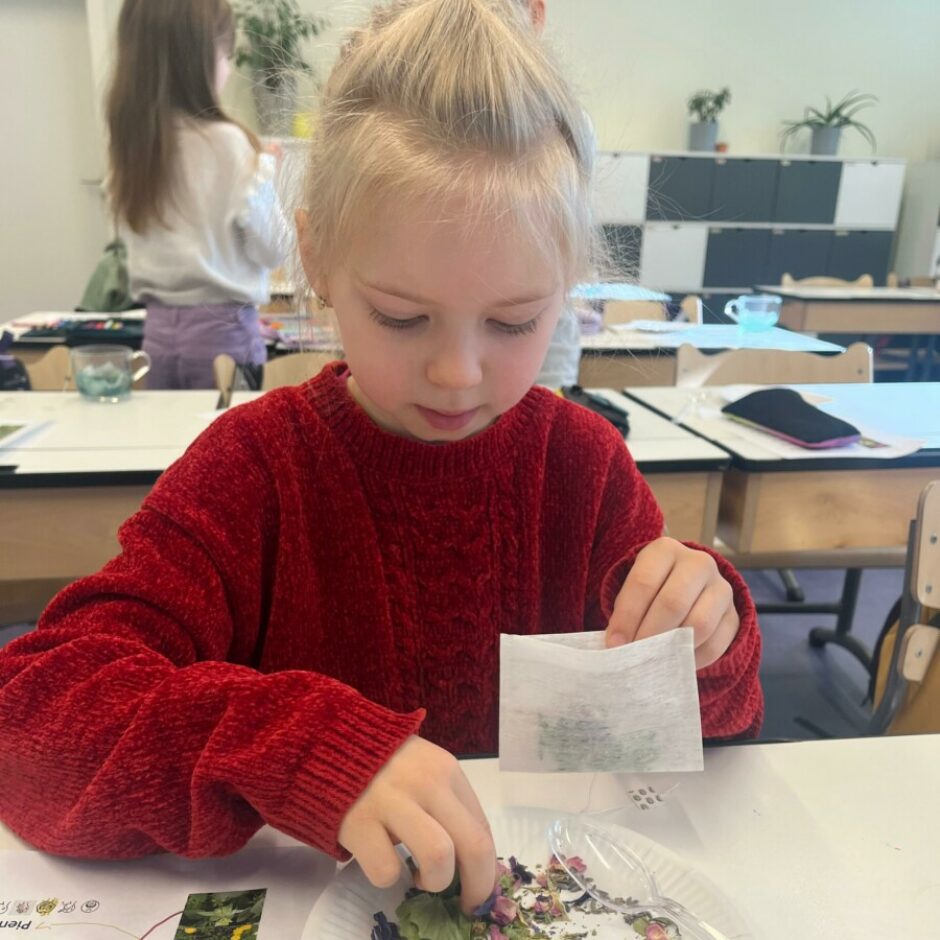 farmaceita profesija - zāļu tējas