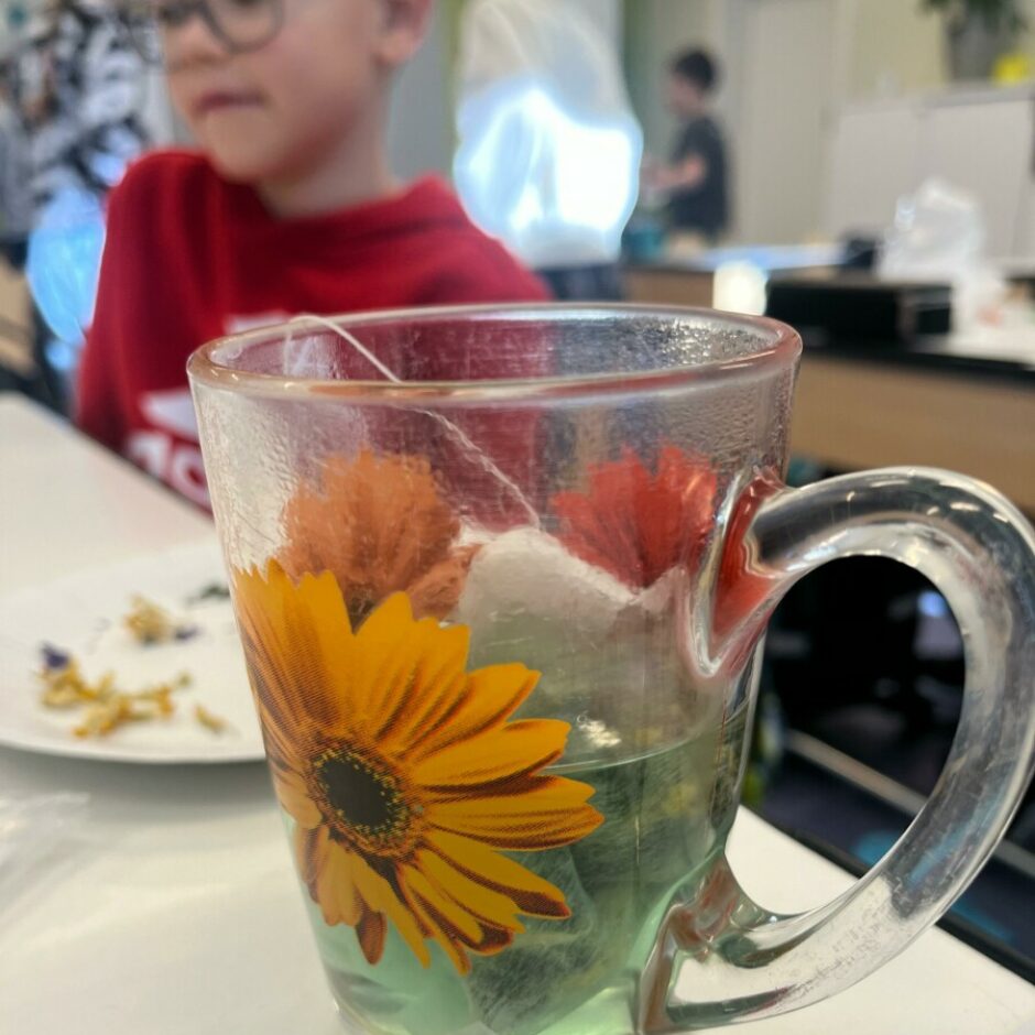 farmaceita profesija - zāļu tējas