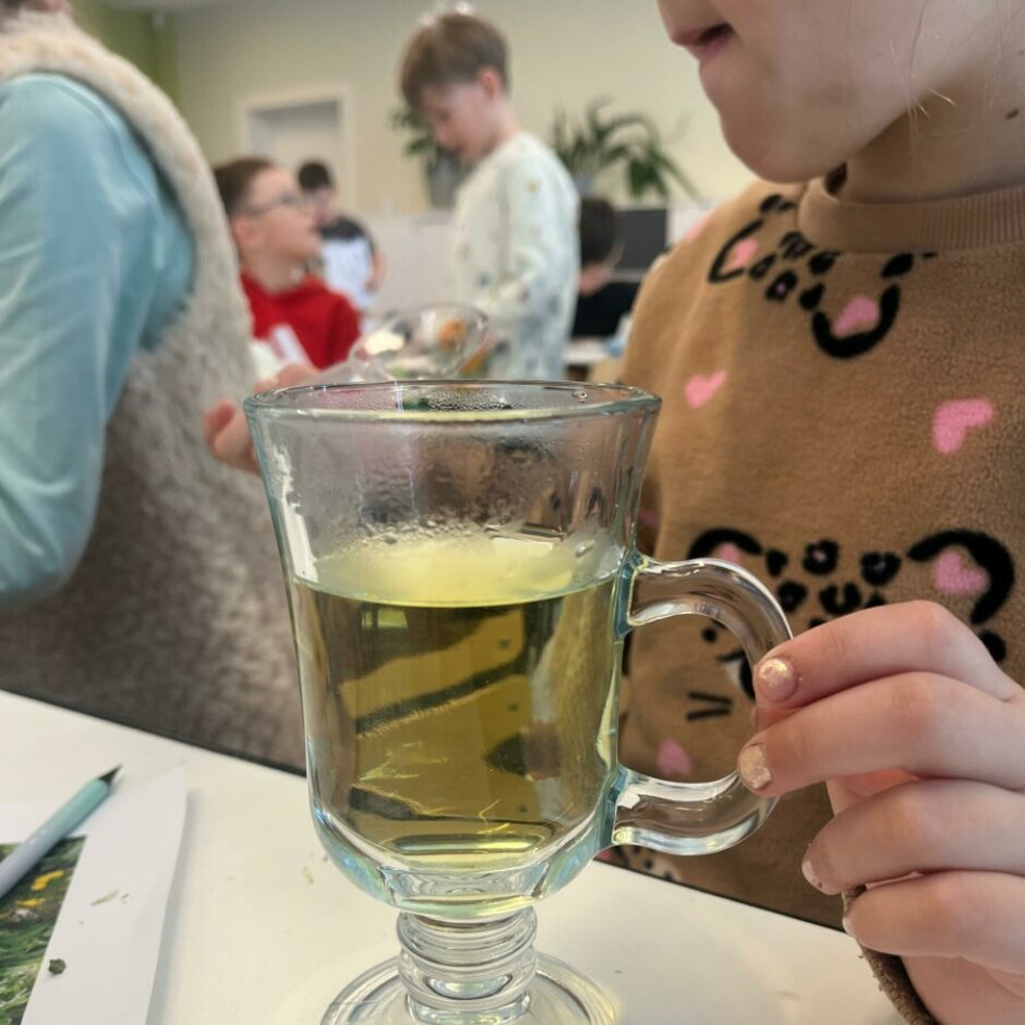 farmaceita profesija - zāļu tējas