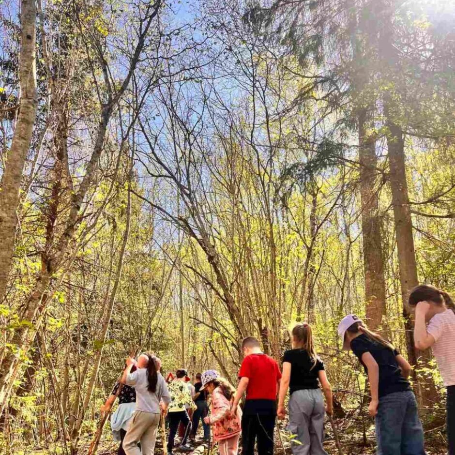 Bērnu grupa saulainā dienā iet pa mežu, kur kokiem spilgti zaļas pavasara lapas. Daudzi bērni tur rokās nūjas, virzoties pa nelīdzeno taku.