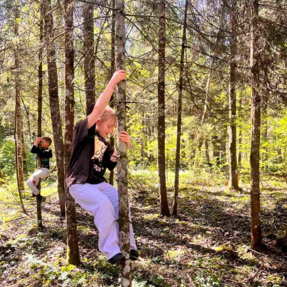 Divi bērni saulainā mežā kāpelē pa kokiem. Priekšplānā bērns tumšā kreklā un gaišās biksēs ar rokām tver tieva koka stumbru, bet fonā vēl viens bērns kāpj citā kokā.