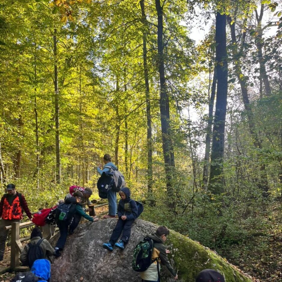 Saulainā rudens dienā bērnu grupa ar pieaugušo izpēta mežu. Vairāki bērni kāpj uz liela, ar sūnām apauguša laukakmeņa vai sēž uz tā, citi staigā apkārt.