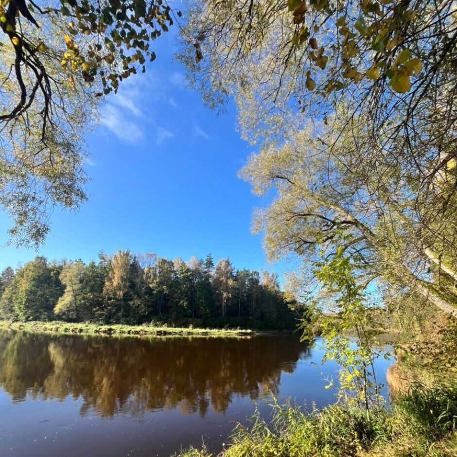 Rudens ainava ar platu, mierīgu upi, kas atspoguļo zilas debesis un krāsainus kokus. Upes otrā krastā ir blīvs rudens mežs. Attēla augšpusē un malās redzami koku zari ar dzeltenīgi zaļām lapām. Pirmajā plānā zemes krasts ar zāli.